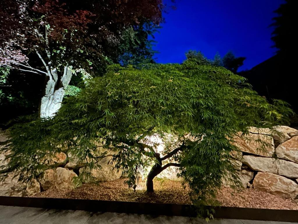 I Faggi Rossi - Red Beech Trees Villa โกโม ภายนอก รูปภาพ